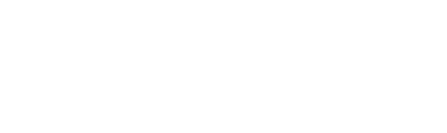 Nessus logo
