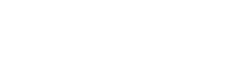 SailPoint logo